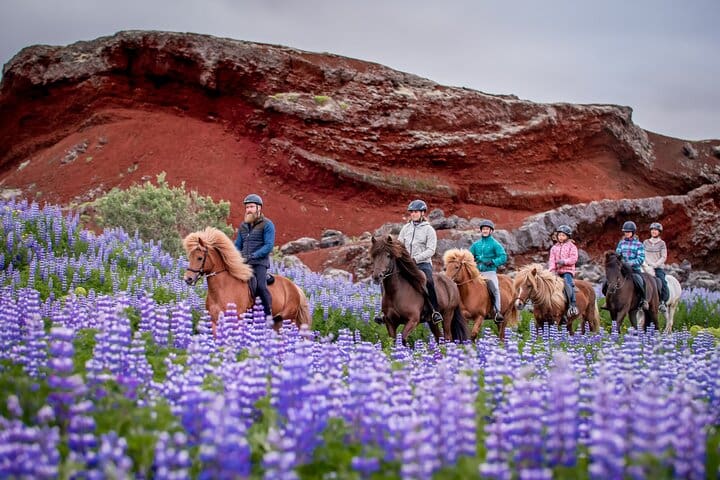 Tour a caballo islandés desde Reikiavik